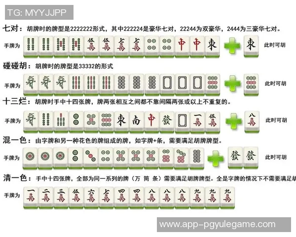 麻将胡了哪个胡-麻将胜者的呼唤—谈胡哪个胡的艺术-麻将胡了哪个胡